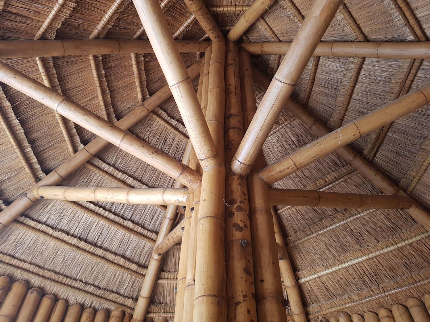 Building with bamboo