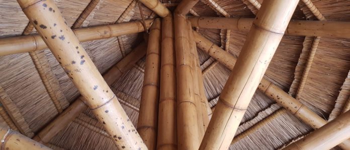 Bamboo Benefits in the Construction Sector