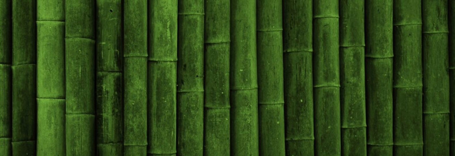 Bamboo Species Guide