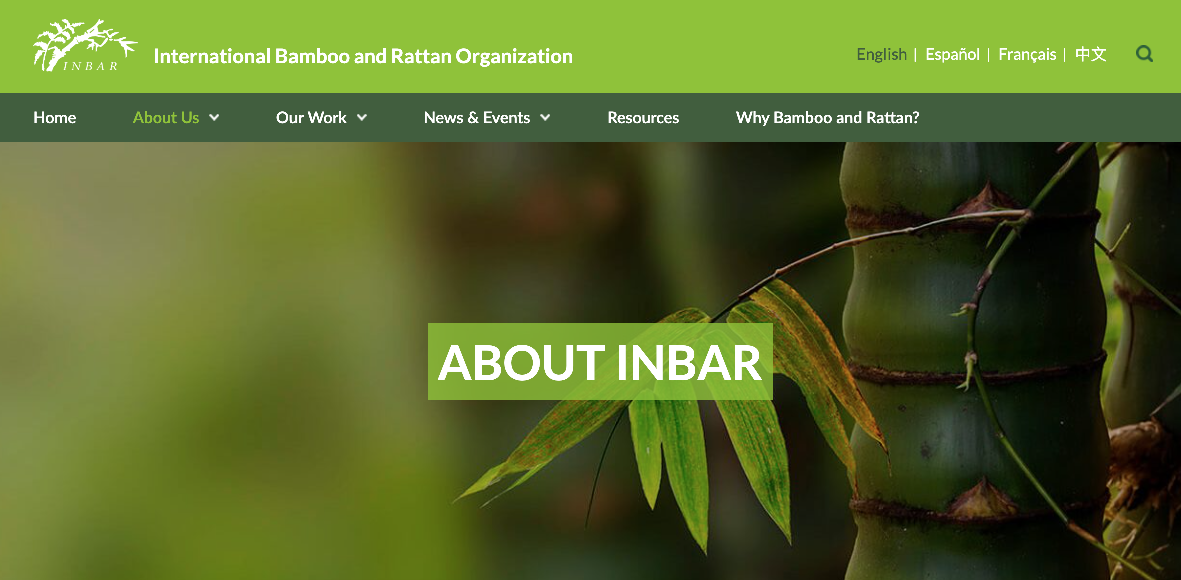 Welcome, International Bamboo and Rattan Organization